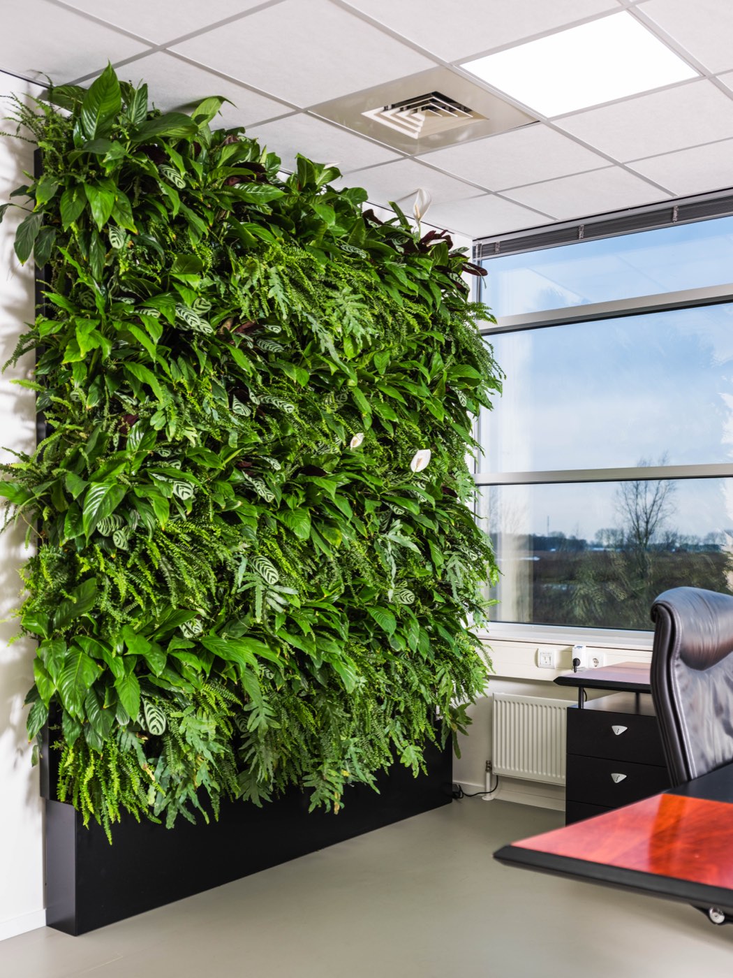 Lebende Pflanzenwand mit Pflanzkasten in einem Büro